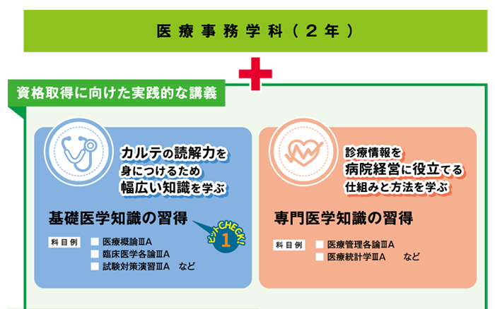 カリキュラム