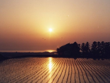 sankyoson tenboudai